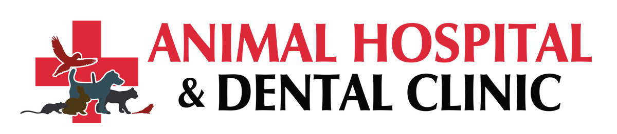 Animal Hospital & Dental Clinic